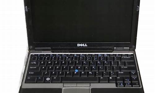 dell d430蓝屏_